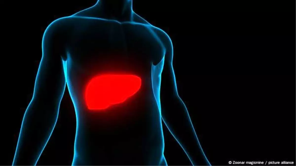 hepatit-turleri-ve-korunma-yontemleri-IAjZBWDw.jpg