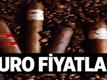 Puro Fiyatlari 1024x622di4.jpg
