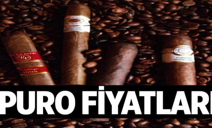 Puro Fiyatlari 1024x622di4.jpg