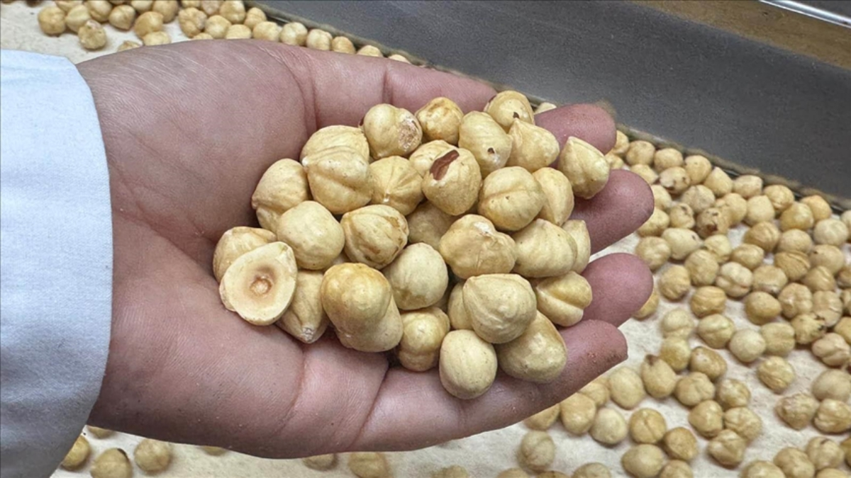 findik ihracati geliri aciklandi UAENmtJb.jpg