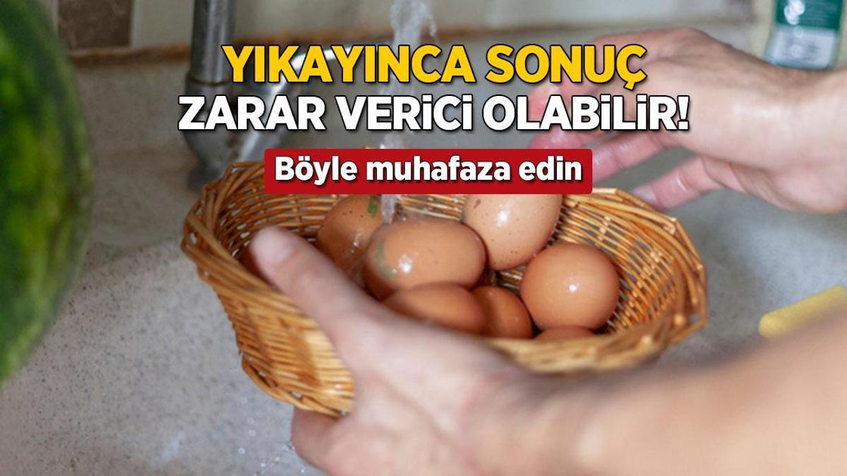 yikayinca sonuc salmonella bakterisi yumurtayi boyle muhafaza etmek sart qbYbCYpP.jpg